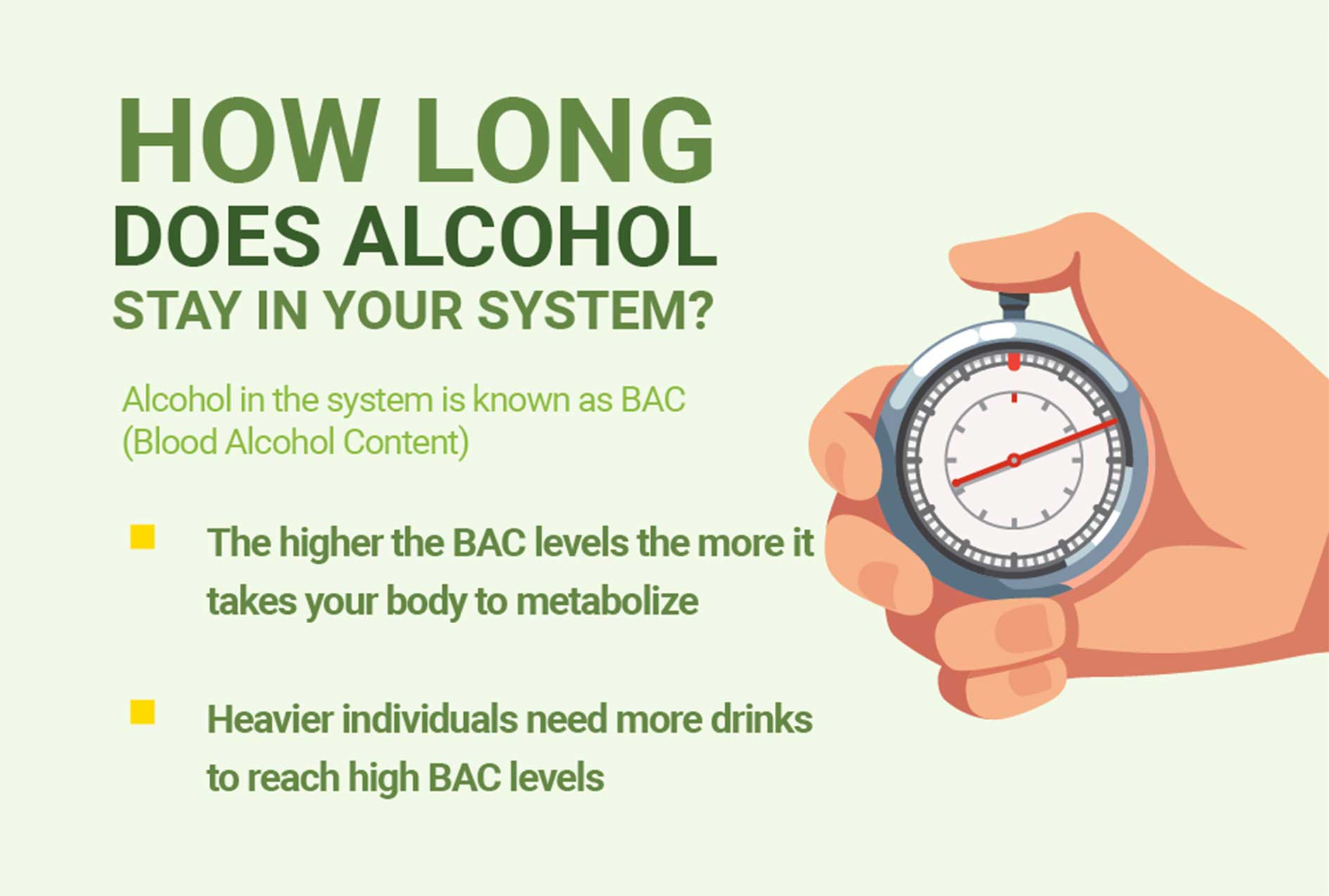 How Long Does Alcohol Stay in Your Bloodstream florida
